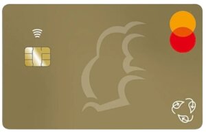 karta-kredytowa-z-zubrem