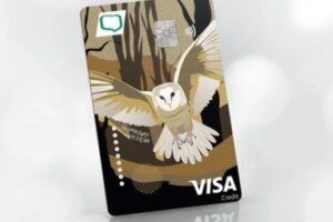 VISA Credit Gold