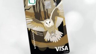 VISA Credit Gold