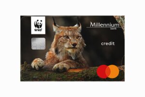 WWF Millennium