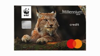 WWF Millennium
